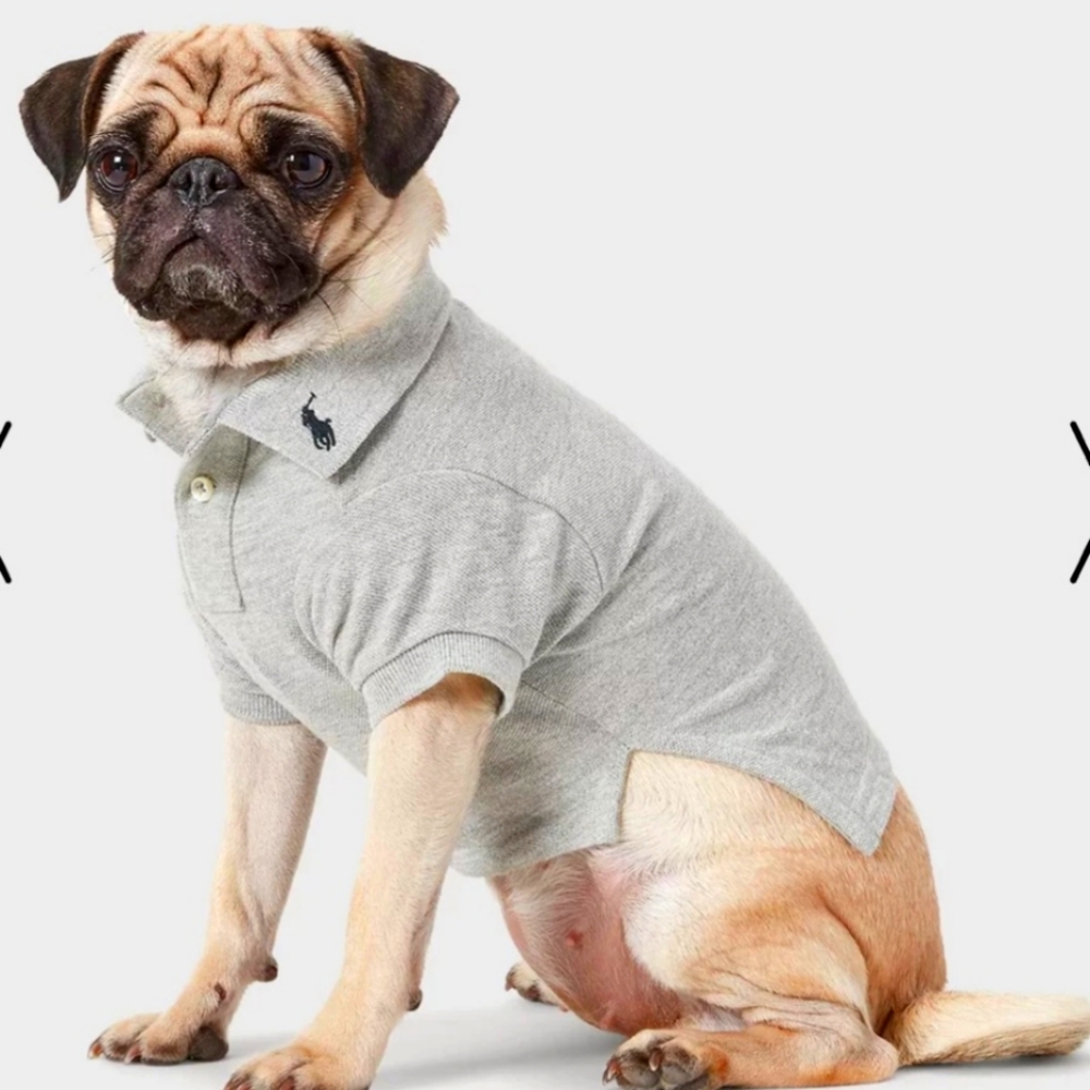 Ralph Lauren Pet NWT- dog polo XL ( French bulldog frenchie corgie beagle )